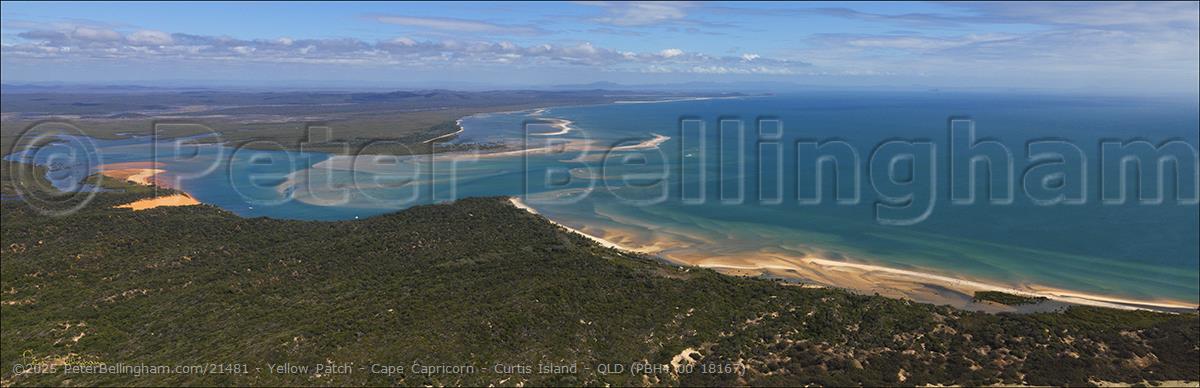 Peter Bellingham Photography Yellow Patch - Cape Capricorn - Curtis Island - QLD (PBH4 00 18167)